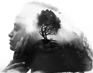 Carl Rogers and Person-Centred Theory - An image of a woman in profile with a thriving tree superimposed on the image